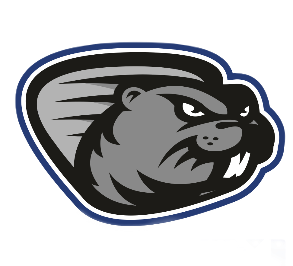 HC Bobři Valašské Meziříčí